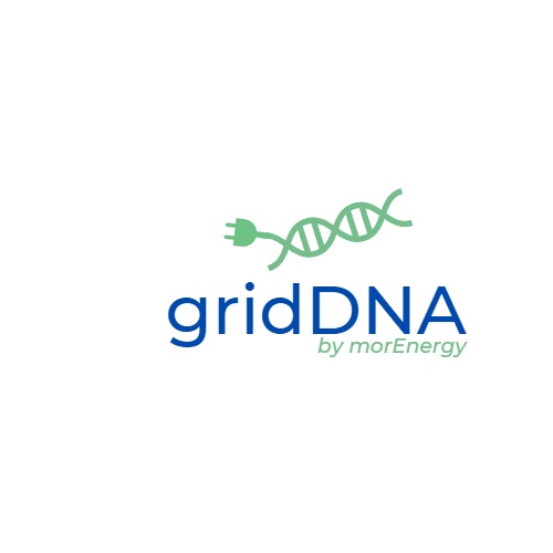 gridDNA by morEnergy